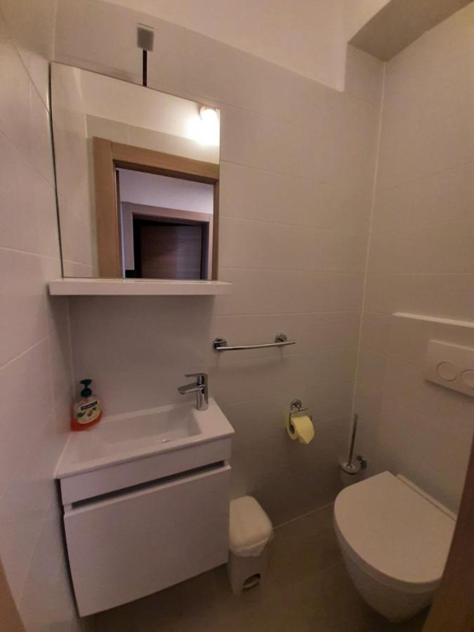 Apartment Ivan I Ruza